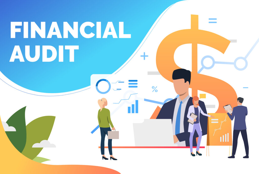 Step 1: Conduct a Comprehensive Financial Audit