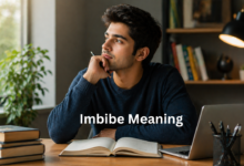 Imbibe Meaning: Definition, Usage, Examples, and Everyday Context