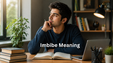 Imbibe Meaning: Definition, Usage, Examples, and Everyday Context